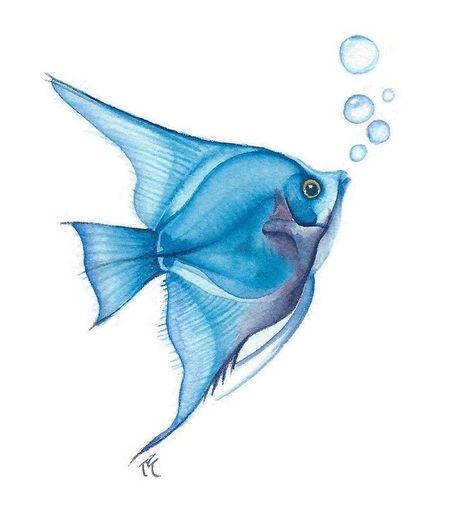 Bubble Fish, Velvet Paper, Watercolor Fish, Watercolour Inspiration, Fish Drawings, My Signature, Blue Fish, Watercolor Art Lessons, Sea Art