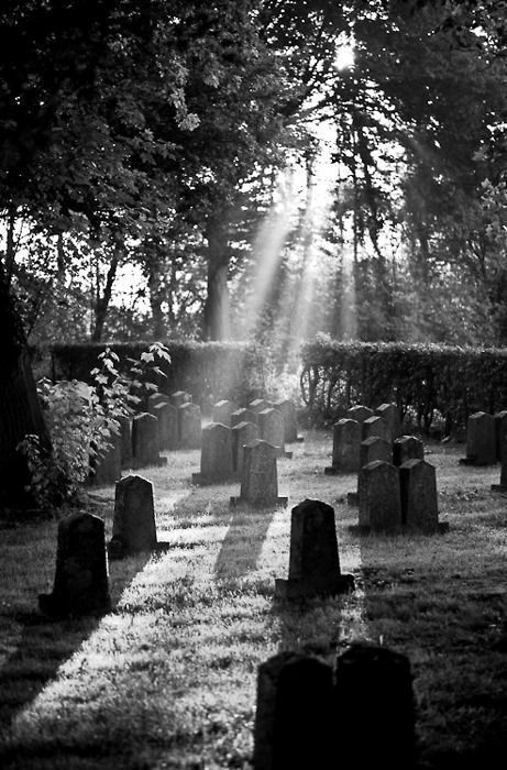 Graveyard Tattoo, Cemeteries Photography, Cemetery Headstones, Old Cemeteries, Cemetery Art, Emily Rose, Old Churches, Six Feet Under, Family Parenting