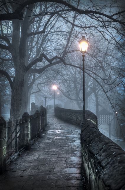 Chester Walls in the fog by Mark Carline, via Flickr Foggy Night, Street Light, Pretty Places, In The Rain, Walkway, Chester, Beautiful World, The Rain, Beautiful Landscapes