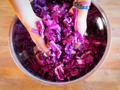 Red Cabbage Kimchi | Garden Betty Red Cabbage Kimchi Recipe, Garden Betty, Red Cabbage With Apples, Cabbage Kimchi, Bbq Pulled Pork Sandwiches, Homemade Sauerkraut, Healthy Probiotics, Kimchi Recipe, Spicy Korean