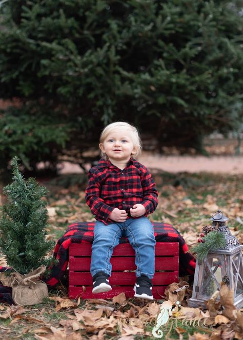 Christmas Field Pictures, Outdoor Holiday Mini Sessions, Christmas Family Picture Ideas Outdoor, Outdoor Kids Christmas Pictures, Outdoor Christmas Minis Photography, Cute Toddler Christmas Pictures, Christmas Photoshoot Ideas Mom And Son, Outdoor Christmas Pictures Kids, Toddler Baby Christmas Photos