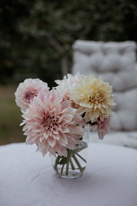 Dahlia Cafe Au Lait Bouquet, Cafe Au Lait Dahlias Bouquet, Dalia Centerpiece, Dahlia Wedding Centerpieces, Cafe Au Lait Dahlia Bouquet, Dahlia Centerpiece Wedding, Dahlia Bridal Bouquet, Cafe Au Lait Dahlias, Carnation Bouquet