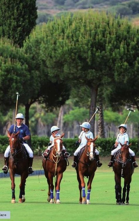 Equestrian Helmets, Polo Horse, Equestrian Helmet, Sport Of Kings, Polo Match, Types Of Horses, Sports Aesthetic, Equestrian Lifestyle, Polo Pony