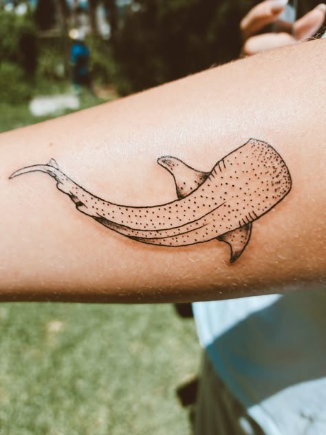 Fine Like Shark Tattoo, Whale Shark Outline Tattoo, Whale Shark Hip Tattoo, Shark Tattoo Placement, Simple Whale Shark Tattoo, Shark Whale Tattoo, Whale Shark Tattoo Design, Shark Knee Tattoo, Marine Biology Tattoo