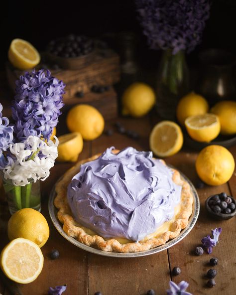 Lemon Blueberry Meringue Pie Lemon Pie With Blueberry Meringue, Blueberry Meringue, Cream Cheese Pie Crust, Lemon Meringue Pie Easy, Fruits Recipes, Lemon Pie Filling, Meringue Pie Recipes, Hyacinth Flowers, Dried Blueberries