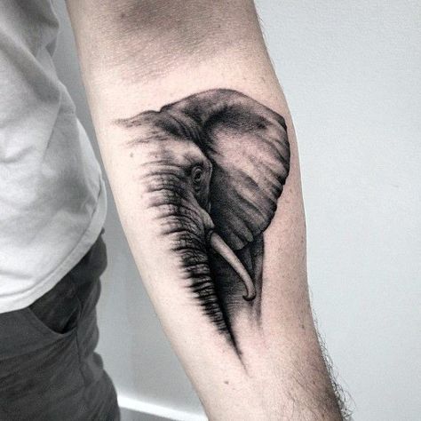 Elephant Head Tattoo, Elephant Tattoo Ideas, Elephant Tattoo Meaning, Tattoo Ideas For Guys, Tier Tattoo, Elephant Tattoo Design, Elephant Tattoo, Elephant Tattoos, Head Tattoos