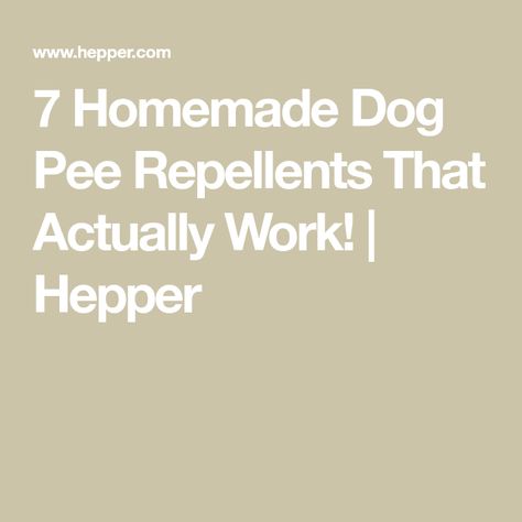 7 Homemade Dog Pee Repellents That Actually Work! | Hepper Diy Dog Pee Cleaner, Natural Dog Pee Repellent, Diy Dog Pee Odor Remover, Get Rid Of Dog Pee Smell In Yard, Diy Dog Pee Repellent, How To Get Dog Pee Smell Out Of House, Stop Dogs From Peeing In House, Dog Pee Repellent, Yorkie Potty Training