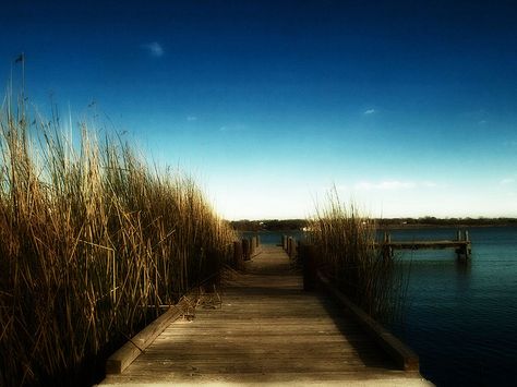 White Rock Dock - JD'na - Flickr Bean Stalk, Dock Of The Bay, Fishing Dock, White Rock, Aesthetic Colors, Nautical Theme, Country Life, Old Pictures, Aesthetic Photography