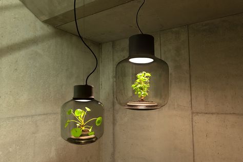 You love plants, plants love light, you love light, you'll both love the Mygdal plantlight! It's a revolutionary lighting solution not just because the luminaire is Deco Luminaire, Kitchen Light, Glass Lamps, Plant Lighting, German Design, Growing Indoors, Luz Natural, Studio Lighting, Mason Jar Lamp