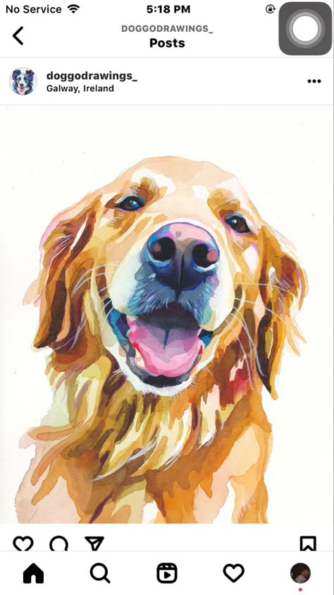 Golden Retriever Watercolor, Free Cricut Images, Perros Golden Retriever, Watercolour And Pencil, Golden Retriever Art, Dog Sketch, Horses And Dogs, Watercolor Cat, Watercolor Dog