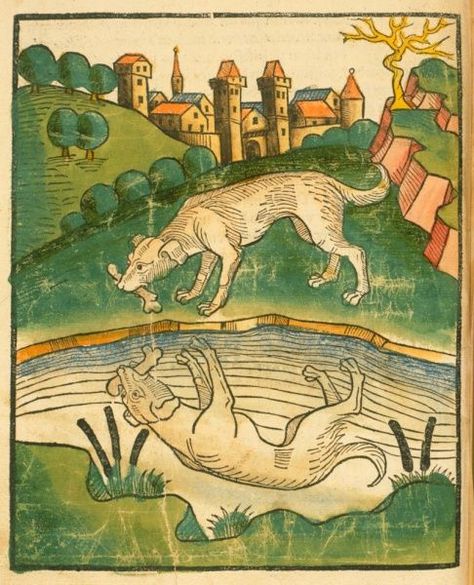 Medieval Calendar, Medieval Beasts, Medieval Philosophy, Medieval Animals, Ancient Dogs, Medieval Drawings, Medieval Artwork, Dachshund Art, Early Medieval