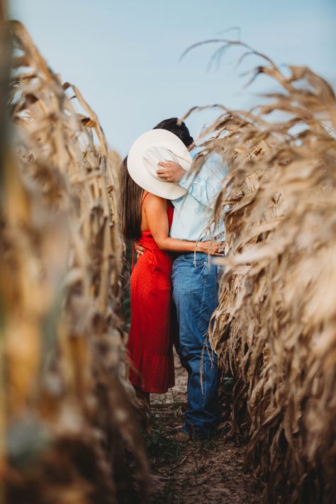 Corn Field Photoshoot Family, Farmer Photoshoot, Corn Engagement Pictures, Corn Maze Photoshoot Couple, Corn Field Engagement Pictures, Corn Field Photoshoot Couple, Corn Field Photoshoot, Farmer Engagement Photos, Farmer Engagement Pictures