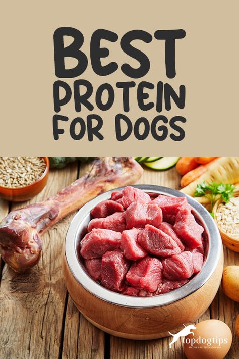 High Protein Homemade Dog Food, High Protein Meals For Dogs, High Protein Dog Treats, High Protein Dog Food Recipes, Protein For Dogs, Human Grade Dog Food, High Protein Dog Food, Pet Recipes, Fresh Dog Food