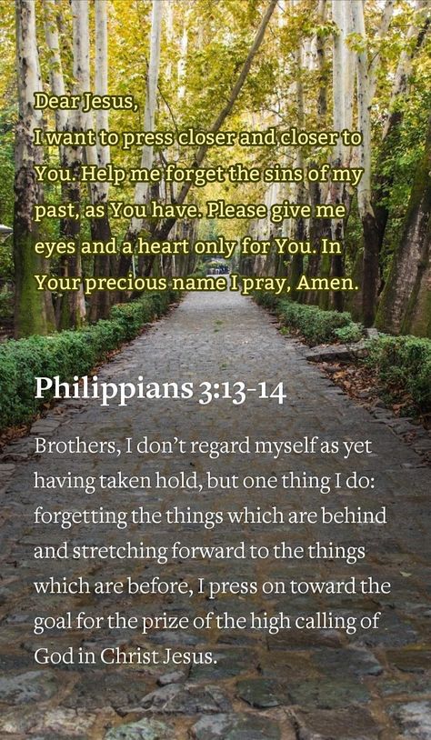 Philippians 3:13-14 Philippines 3:13, Philippians 3:12-14, Phillipians 3:13-14, Phillipians 3:13, Philippians 3:13-14, Phillipians 3, Christian Facts, Philippians 1, Faith Is The Substance