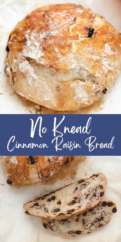 Raisin Nut Bread Recipe, Raisin Walnut Bread Recipe, No Knead Cinnamon Raisin Bread, Artesian Bread, Raisin Bread Recipe, Cinnamon Raisin Bread Recipe, Cranberry Bread Recipes, Raisin Recipes, Nut Bread Recipe