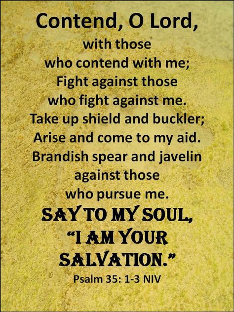 Pursue Me, Psalm 35, Bible Psalms, High Horse, Living Photo, Prayer And Fasting, Christian Stuff, Lord God, Faith Prayer