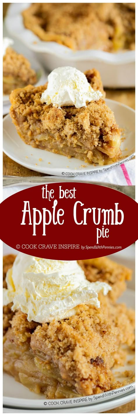 The BEST Apple Crumb Pie! This is truly the best apple pie recipe you'll ever make! Loaded with fresh tart apples and topped with a sweet brown sugar crumble, this is one recipe that will be requested over and over! Dutch Apple Pie Recipe, Tårta Design, Apple Crumb Pie, Dessert Thanksgiving, Crumb Pie, Dutch Apple Pie, Apple Crumb, Best Apple Pie, Dutch Apple