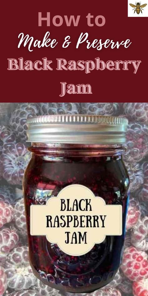 Wild Black Raspberry Jam, Recipes For Black Raspberries, Seedless Black Raspberry Jam Recipe, Black Raspberry Canning Recipes, Black Raspberry Jelly, How To Can Jam, Black Raspberry Freezer Jam Recipe, Wild Black Raspberry Recipes, Raspberry Jam Recipe Canning