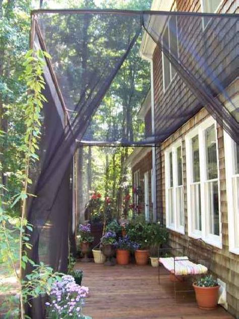 Mosquito Netting Curtains for a DIY Screen Patio Diy Patio Ideas, Screen Patio, Mosquito Curtains, Porch Enclosures, Curtains Diy, Diy Screen, Screened In Deck, Garden Canopy, Screened In Patio