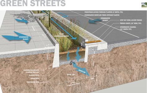 Street Planters, Roof Landscape, Waterfront Architecture, Green Infrastructure, Sandpoint Idaho, Stormwater Management, Environmental Engineering, Schematic Design, Areas Verdes