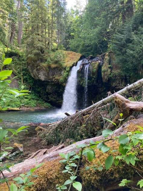 Pnw Core, Pnw Hikes, Pnw Vibes, Pnw Summer, Oregon Aesthetic, Washington Nature, Pnw Aesthetic, Pnw Washington, Pnw Hiking