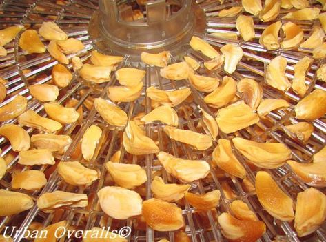 Dehydrating Garlic, Homemade Garlic Powder, Dehydrating Vegetables, Garlic Garden, Vacuum Sealing Food, Preserving Foods, Dehydrated Fruit, Garlic Bulb, Soups Stews