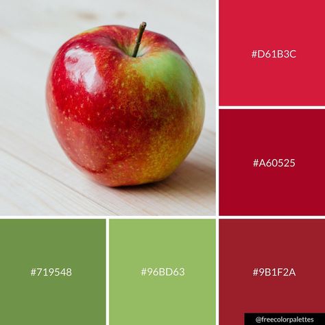 Apple | Manzana | Red and Green |Color Palette Inspiration. | Digital Art Palette And Brand Color Palette. Positive Daily Quotes, Outside House Colors, Paint Color Combos, My Quote, Green Color Combinations, Cottage Painting, Art Palette, Art Account, Color Plan