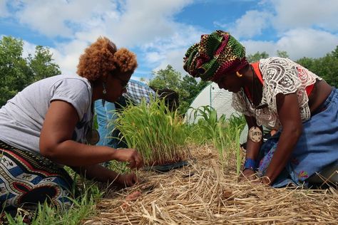 Black Farmers, Hog Farm, Chicken Pecking, Corn Crib, Gardening Photography, Garden Mural, Future Farms, Garden Girls, Tree Hugger