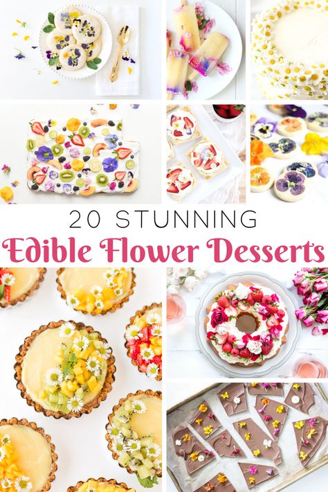 Flower Party Food Ideas, Flower Themed Desserts, Cake Edible Flowers, Floral Desserts, Flowers Recipes, Edible Flower Garden, Flower Recipes, Edible Flowers Cake, Flower Desserts