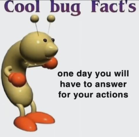 Cool Bug Facts, Bug Facts, Cool Bugs, Gods Not Dead, Reaction Images, Weird Stuff, Mood Humor, Bugs, Fun Facts