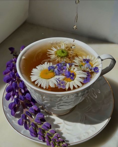 Lavender Tea Aesthetic, Tea Cups Aesthetic, Tea With Flowers, Cups Aesthetic, Aesthetic Cups, Painting Picnic, Cottagecore Tea, Realistic Wallpaper, Cup Aesthetic