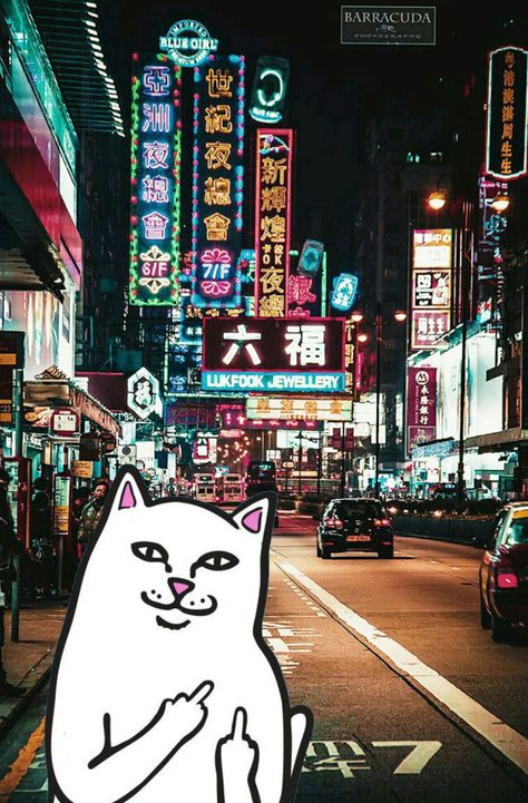 #ripndip #middle #finger #cat #wallpaper #iphone #hongkong Asian City, Hong Kong Night, Night Street, Tall Buildings, Hong Kong Travel, Neon Aesthetic, Aesthetic Japan, Las Vegas Hotels, City Street