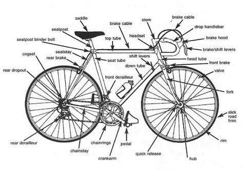 Fort Collins' Platinum Bike Plan: Racing Bicycle Parts for Classroom Use Mountain Bike Parts, Biking Benefits, Racing Bicycle, Hybrid Bicycle, Velo Vintage, Bike Safety, Comfort Bike, Road Bike Women, Bicycle Saddle