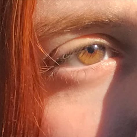 Red Hair Brown Eyes Aesthetic, Red Hair Amber Eyes, Brown Eyes And Ginger Hair, Auburn Hair Face Claim, Red Hair With Hazel Eyes, Red Hair In The Sun, Ginger With Brown Eyes, Orange Eyes Aesthetic, Ginger Hair Hazel Eyes