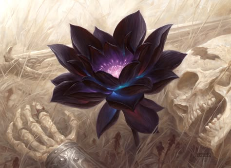 Black Lotus — The Art of Chris Rahn Black Lotus Wallpaper, Chris Rahn, Lotus Wallpaper, Black Lotus, Lotus, Human, Purple, Black, Art