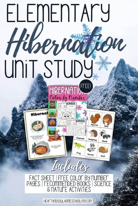 Hibernation Unit Study Ideas - Heart and Soul Homeschooling Hibernating Animals, Hibernation Activities, Unit Study Ideas, Animals That Hibernate, Fun Indoor Activities, Online Homeschool, Quiet Activities, Winter Books, Science Topics