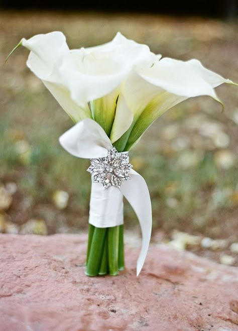 The brooch adds sparkle to this simple elegant white calla lily bouquet / http://www.himisspuff.com/spring-summer-wedding-bouquets/5/ White Calla Lily Bouquet, Simple Bouquet, Calla Lily Wedding, Calla Lily Bouquet, Summer Wedding Bouquets, Sedona Wedding, Lily Wedding, Lily Bouquet, Prom Flowers