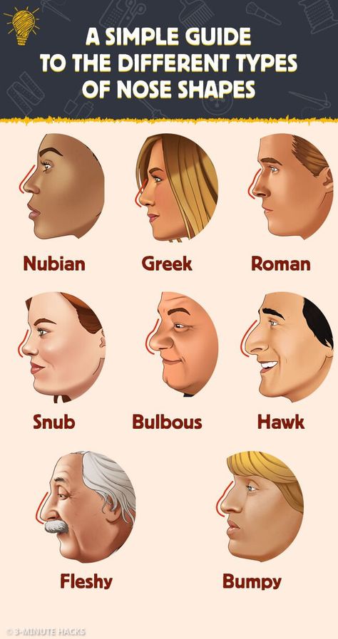 Different Type Of Noses, How To Draw Different Types Of Noses, Nose Size Chart, Facial Features Of Different Races, Nose Types Chart, Types Of Chin Shapes, Different Kinds Of Noses, Eyes Different Shapes, Nubian Nose Shape