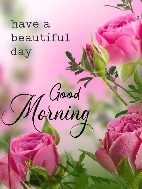 सुप्रभात संदेश, Good Morning Wishes Friends, Good Morning Inspiration, Good Morning Flowers Quotes, Good Morning Nature, Good Morning Roses, Good Morning Beautiful Flowers, Good Morning Flowers Pictures, Good Morning Flowers Gif