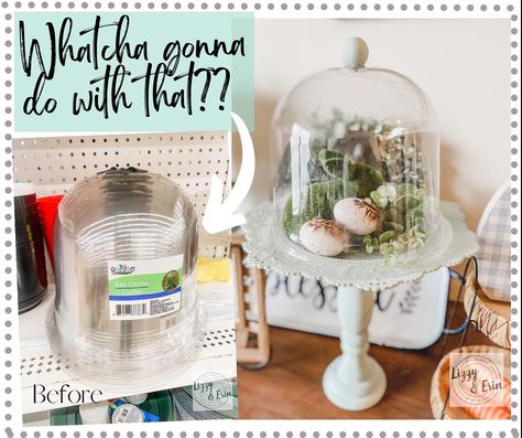 Diy Cloche Ideas Dollar Tree, Dollar Tree Cloche, Cloche Ideas, Cloche Decor, Cloche Domes, Diy Angels, Upcycle Repurpose, Martha Stewart Living, Dollar Tree Decor