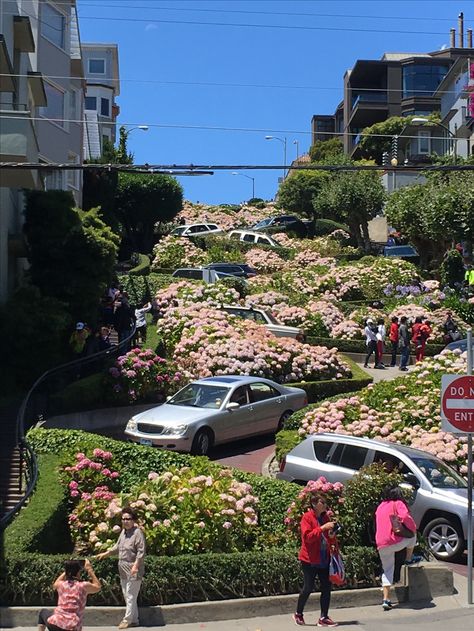 Lombard Street San Francisco, San Francisco Travel Guide, Lombard Street, California Summer, Living In San Francisco, San Francisco Travel, California Love, San Fran, City Aesthetic