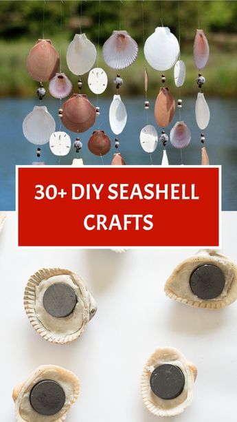 Dive into a world of creativity with 32 DIY Seashell Crafts that capture the essence of summer! Create seashell mirrors, seashell garlands, or even seashell mobiles. Let the beauty of seashells inspire you as you bring the coastal charm into your home with these handmade crafts. #SeashellCrafts #DIYIdeas #SummerDecor #BeachInspired What To Do With Shells From Vacation, Shell Keepsake Ideas, Large Seashell Crafts, Decorating With Sea Shells, See Shell Art, Diy With Shells Ideas, Diy Shells Crafts Decor, Whelk Shell Crafts, Sea Shells Crafts Ideas