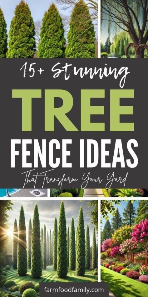 15+ Beautiful Tree Fence Ideas to Boost Your Garden’s Appeal 54 Tree Line Fence Backyards, Landscaping Around Power Pole, Modern Backyard Trees, Organic Fence Design, Backyard Fence Line Landscaping, Trees For Privacy Fence, Fence Trees Ideas, Landscaping Privacy Fence, Fencing Landscaping Ideas