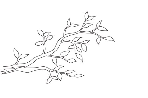 Tree Branches Drawing Simple, Tree Branch Drawing Simple, Seedling Drawing, Drawing Of Tree, Drawing Leaf, Branch Drawing, Graphic Design Vector, Doodle Bug, Spring Planting