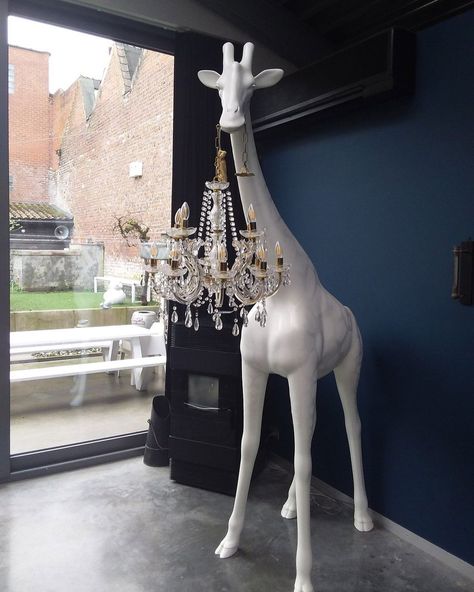 Step into the wild with our Giant #Giraffe and #Leopard floor lamp - where whimsical wildlife meets stylish illumination 🛋️ 🦒🐆 #floorlamp #interiordesign #lighting #homedecor #design #tablelamp #lightingdesign #lamp #chandelier #interior #floorlamps #animallovers Valentines Window Display, Lamp Chandelier, Into The Wild, Giraffes, Modern Chandelier, Narnia, Window Display, Cool Design, Girls Bedroom