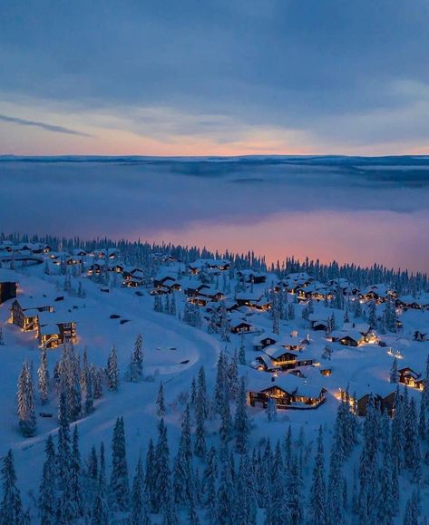 Norway|Norge|Norwegian on Instagram: “Norway, #Trysil 📷 @olamatsson . Follow our main page @dreamchasersnorway 😍🏔🇳🇴 . . #dreamchasersnorway #earth #traveladdict #travelblog…” Christmas Lights Wedding, Dope Snow, Christmas Lights Outside, Holiday Lights Display, Finland Travel, Christmas Light Displays, Snow Trip, House In Nature, Norway Travel