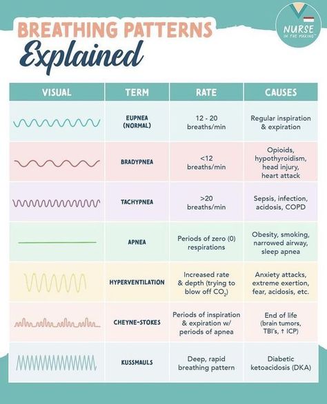 Breathing Patterns #nursingschool #nursingstudent #study  - Image Credits: Bonnie Lvn School, Respiratory Rate, Breathing Patterns, Paramedic School, Nursing School Essential, Nursing Study Guide, Nurse Study Notes, Nursing Mnemonics, Nursing Student Tips