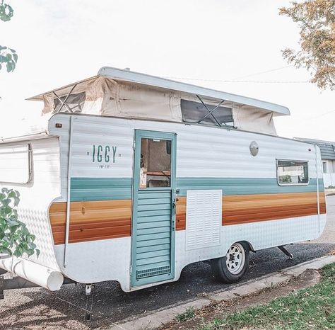 The Vintage Van Project 🌻 shared a photo on Instagram: “How dreamy is this vintage van Reno by @stonedsaintmoon 🙌🏻 . . . . #caravanreno #caravanrenovation…” • See 47 photos and videos on their profile. Camper Exterior, Vintage Caravan Interiors, Van Project, Rv Exterior, Rv Interior Remodel, Caravan Makeover, Camper Trailer Remodel, Vintage Camper Remodel, Trailer Decor