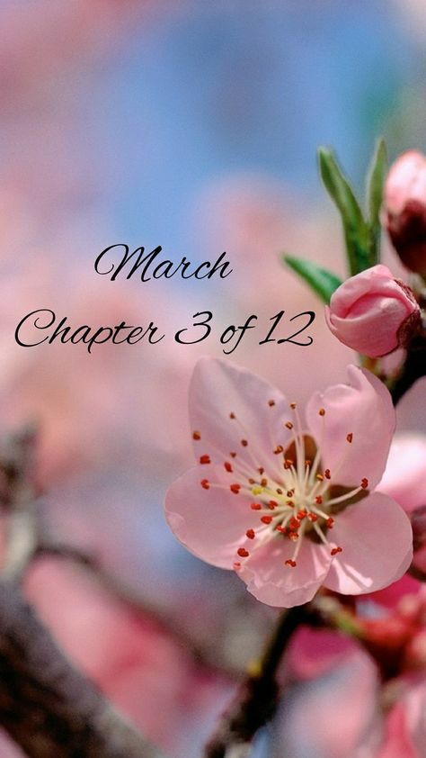 March Chapter 3 of 12 March Images Month Of, March 12 Aesthetic, March Chapter 3 Of 12 Wallpaper, Months Of The Year Wallpaper, March Chapter 3 Of 12, Hello March Month, Welcome March Images, Chapter 3 Of 12, Hello March Wallpaper