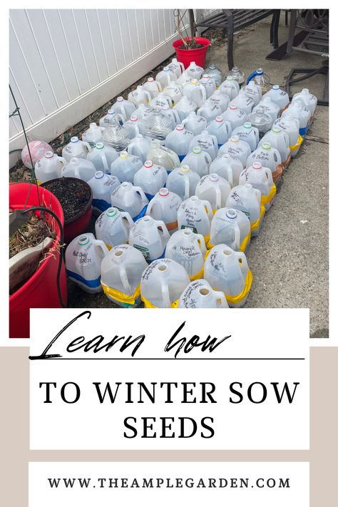 Save money and time this year by winter sowing your seeds outdoors! No more checking on indoor seedlings or hardening them off. When you winter sow your seeds, you set yourself up for plant success from day one. Seed Growing, Winter Sowing, The Tiny Seed, Starting Seeds, Plastic Milk, Mini Greenhouse, Healthy Garden, Seed Starting, Flower Farm